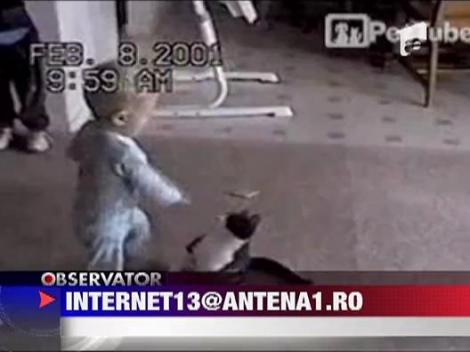 Pisica, prietenul de joaca ideal