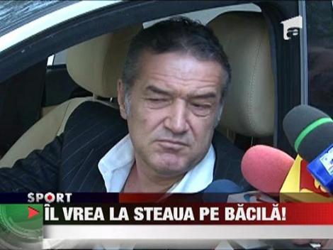 Steaua il vrea pe Bacila