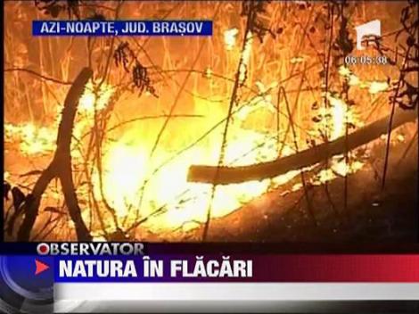 Incendii devastatoare in Calarasi si Brasov