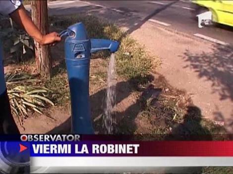 In Dolj curg viermi la robinet