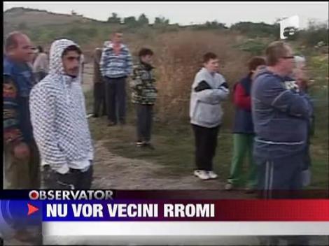 Refuza vecini tigani