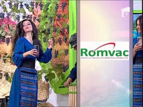 Mariana Ionescu Capitanescu - Un paharel de vin