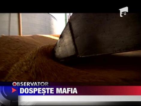 Mafia cerealelor scumpeste painea