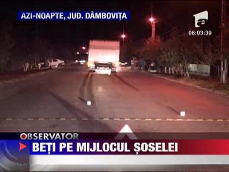 Doi tineri beti au fost loviti in plin de un camion, in Dambovita