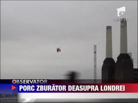 Porc zburator deasupra Londrei