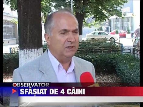 IMAGINI SOCANTE! Copil sfasiat de 4 ciobanesti germani