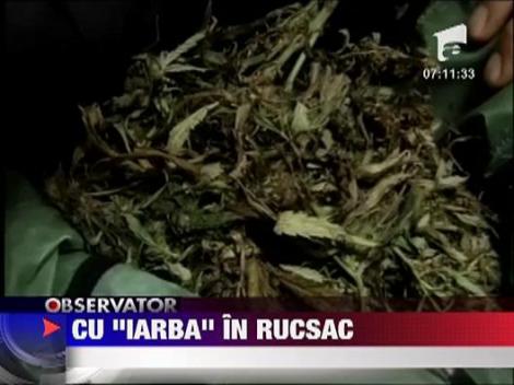 Trei studenti din Iasi au fost prinsi cu trei kilograme de iarba, inghesuite intr-un ghiozdan