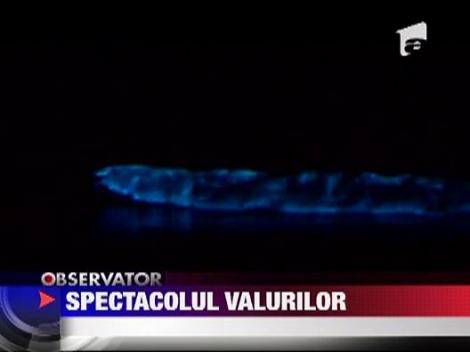 Fenomen incredibil: Valuri de culoare albastru-neon in Pacific