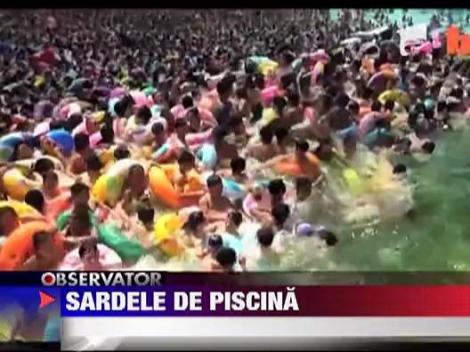 Cea mai aglomerata piscina din lume