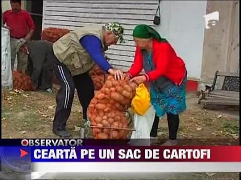 Nebunie la impartirea sacilor de cartofi pentru oamenii nevoiasi din Navodari!