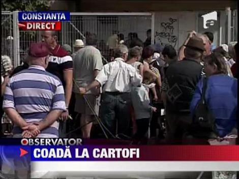 Sute de oameni stau la coada pentru a primi cartofii gratis in Navodari