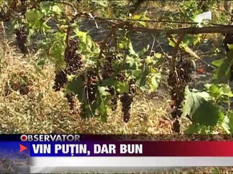 Vin putin, dar bun