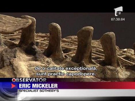 Schelete de dinozauri, de vanzare la Paris