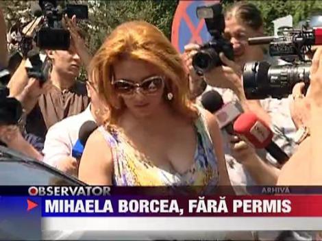 Mihaela Borcea a ramas pieton