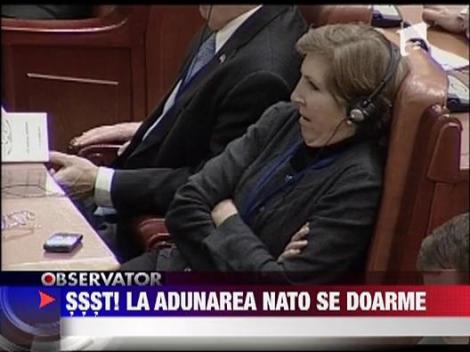 S-a dormit in grupa la adunarea Nato