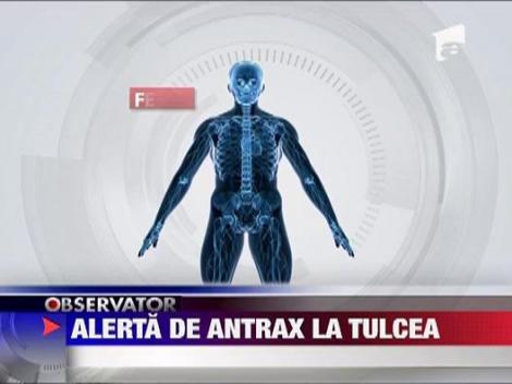 Tulcea sub alerta de antrax