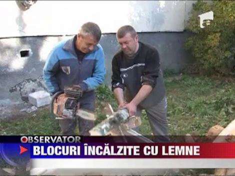 In 2011 se incalzesc cu lemne la bloc