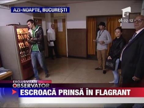 Escroaca prinsa in flagrant