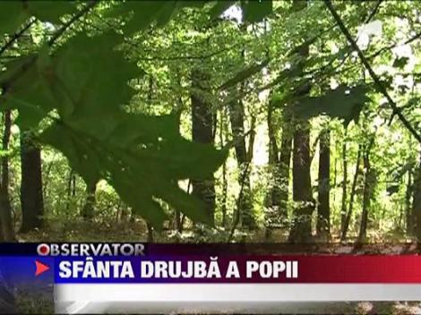 Preoti pasibili de puscarie