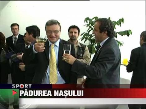 Sandu va candida la sefia FRF si in 2014