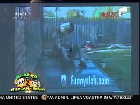 Faze comice cu mesteri