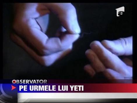 Yeti traieste in Siberia!