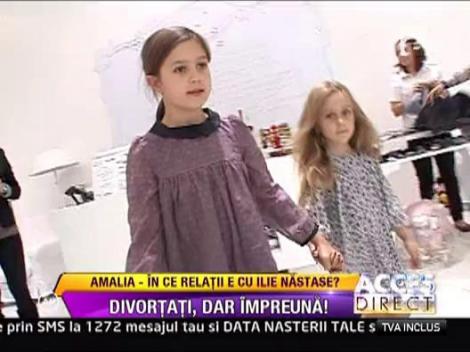 Amalia si Ilie Nastase au divortart, dar au ramas impreuna in afaceri