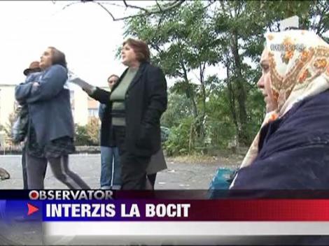 Bocitoarele au interzis in cimitir