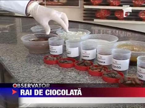 Atelier de ciocolata