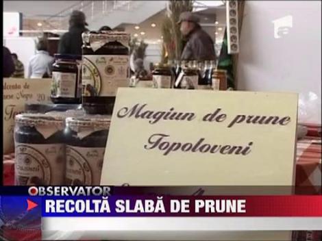 Recolta slaba de prune