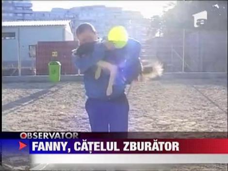 Fanny, catelul zburartor