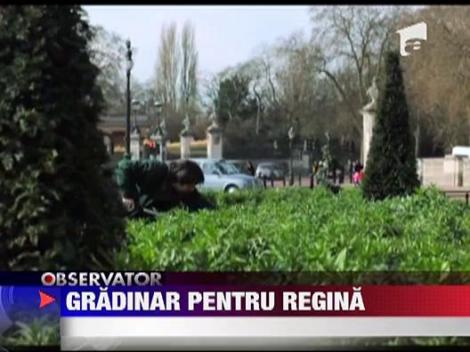 Gradinar pentru regina Angliei