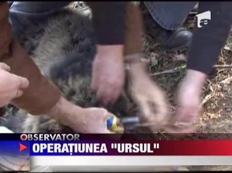 Salvare emotionanta in Suceava!