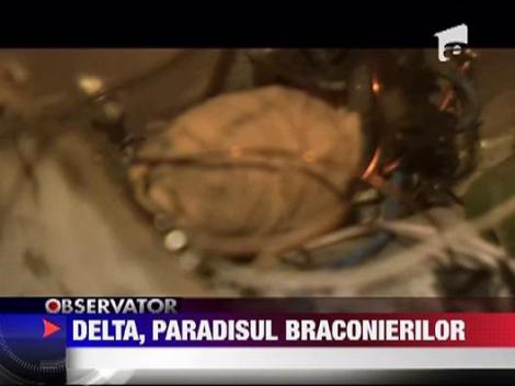 Delta Dunarii, paradisul braconierilor