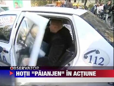 Hotii "paianjen" au fost prinsi