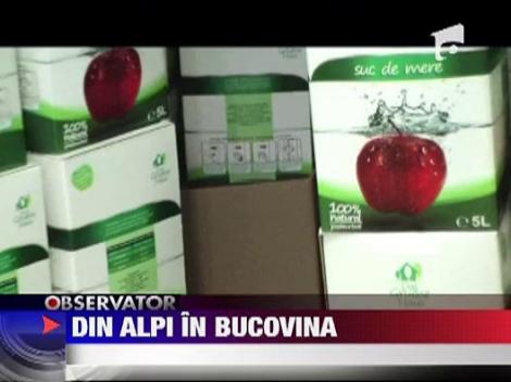A dat Alpii Elvetieni pe Obcinile Bucovinei