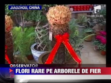 Flori rare pe arborele de fier