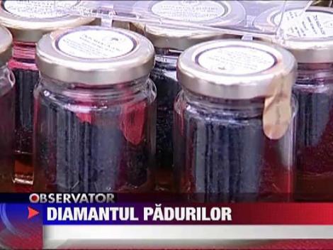 Trufa, diamantul padurarilor