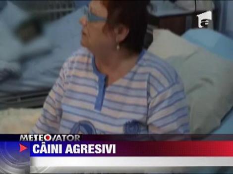 Femeie agresata de caini la Orsova