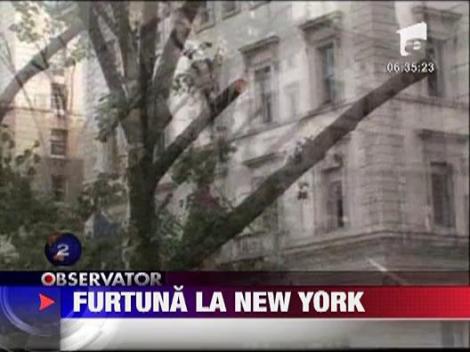 Furtuna de zapada la New York