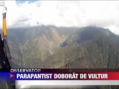 Parapantist atacat de vultur