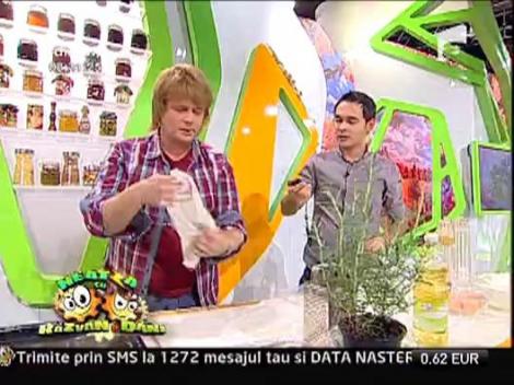 Placinta taraneasca de branza