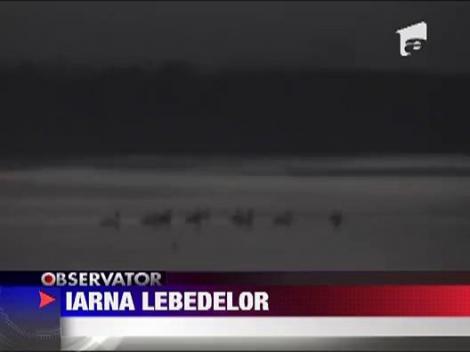 Oaspeti de seama pe malul Dunarii