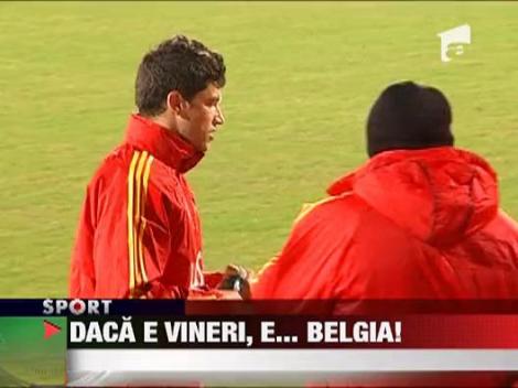 Bourceanu rateaza amicalul cu Belgia