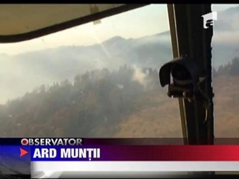 Focul face prapad in Muntii Rodnei