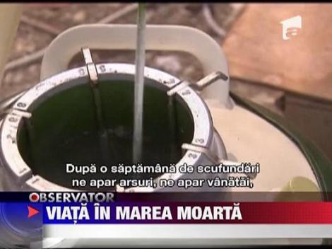 Un roman a gasit viata in Marea Moarta