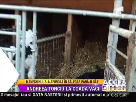 Andreea Tonciu pune scutece unui vitel