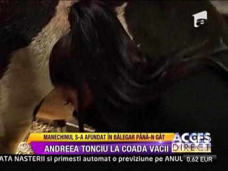 Andreea Tonciu mulge o vaca