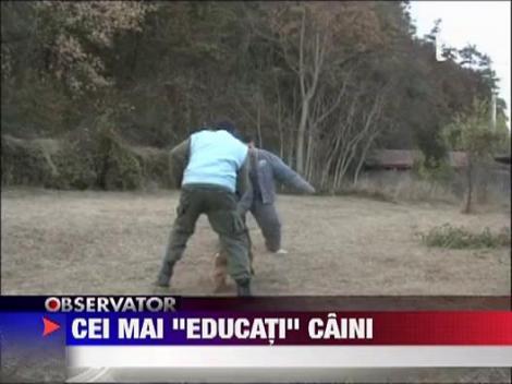 Intrecerea instructorilor canini