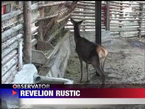 Revelion rustic